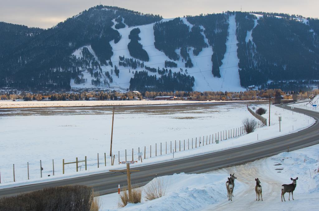 Elk Refuge Inn Jackson Kültér fotó